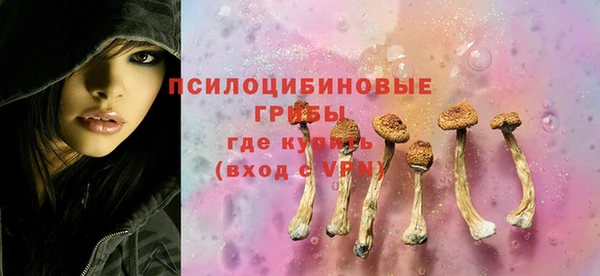 гидропоника Сатка