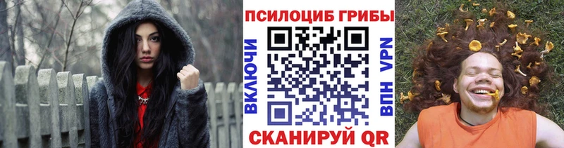 Псилоцибиновые грибы мицелий  Купить  Шагонар 