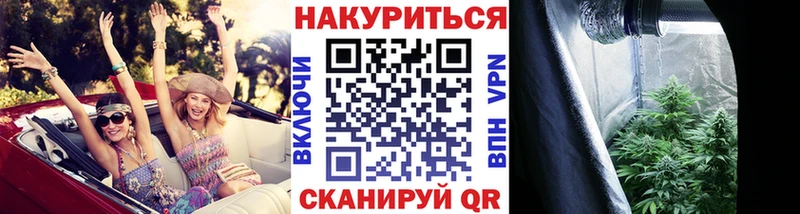 Купить закладки  Шагонар  Бошки Шишки SATIVA & INDICA 